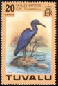 Pacific Reef Heron (Egretta sacra)